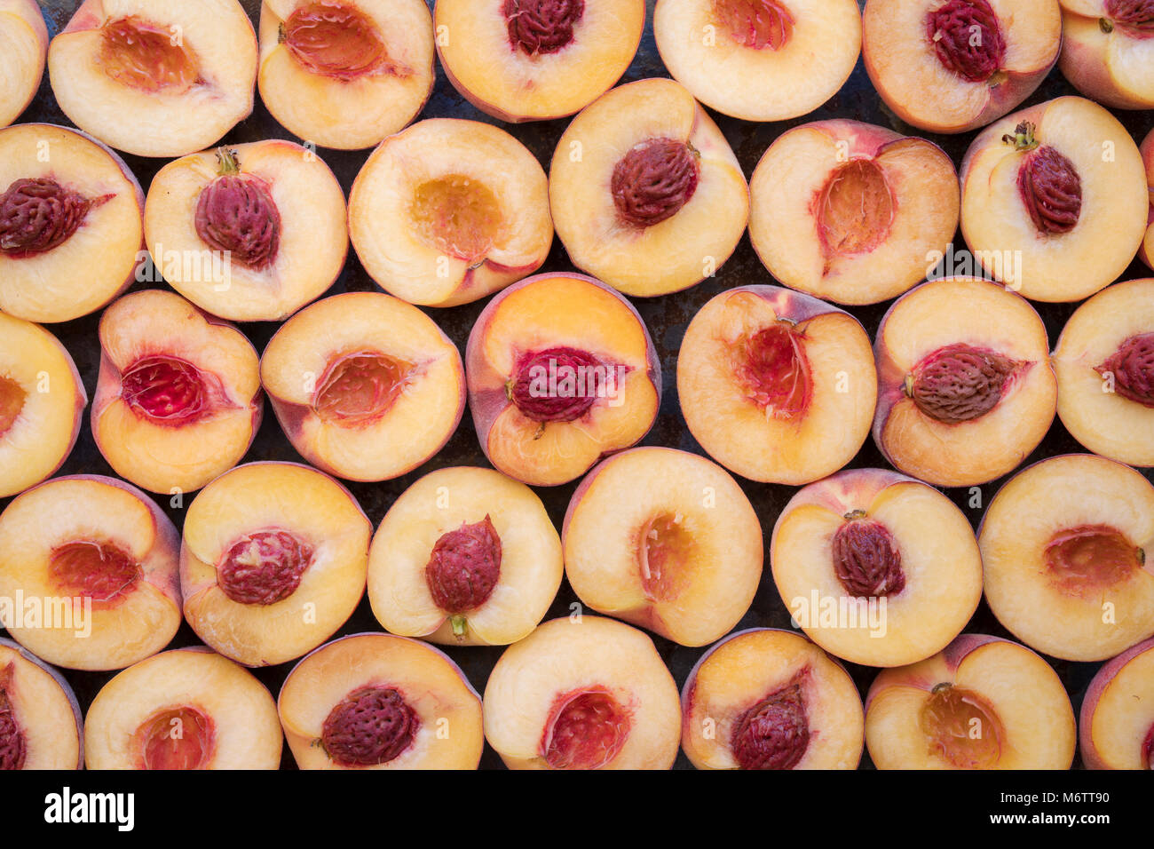 Prunus persica. Peaches pattern on a slate background Stock Photo