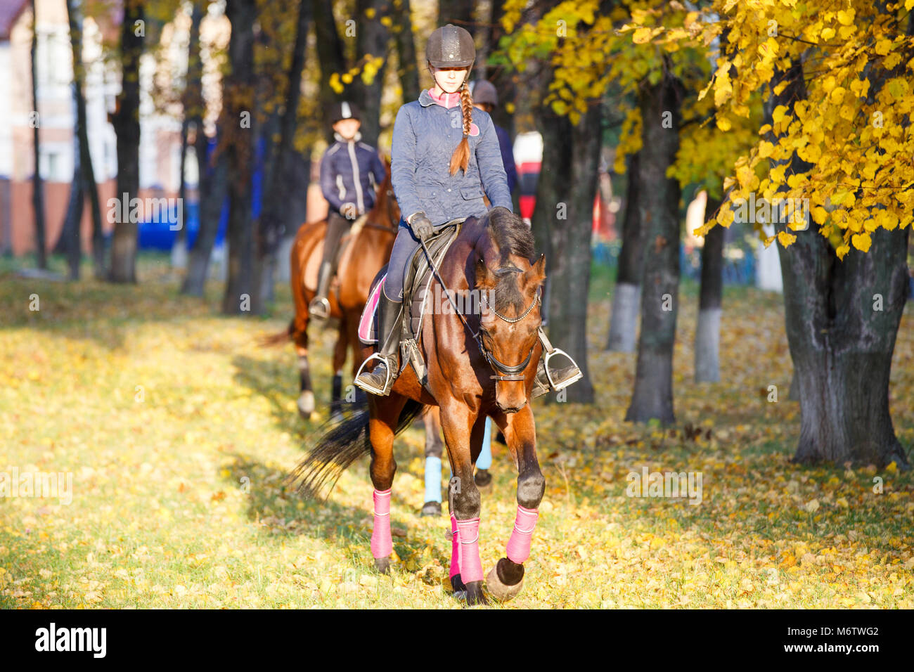Young rider girl on bay horse in the autumn park at sunset. Teenage girl riding horse in park Stock Photo