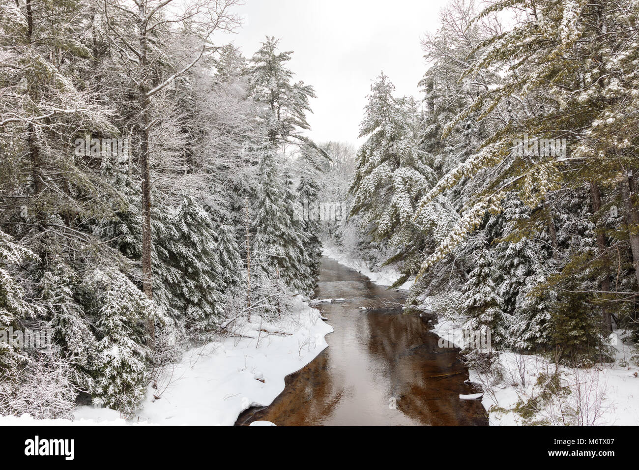 A Michigan river, cuts through a swath of pine trees in this winter wonderland of the Upper Peninsula Stock Photo