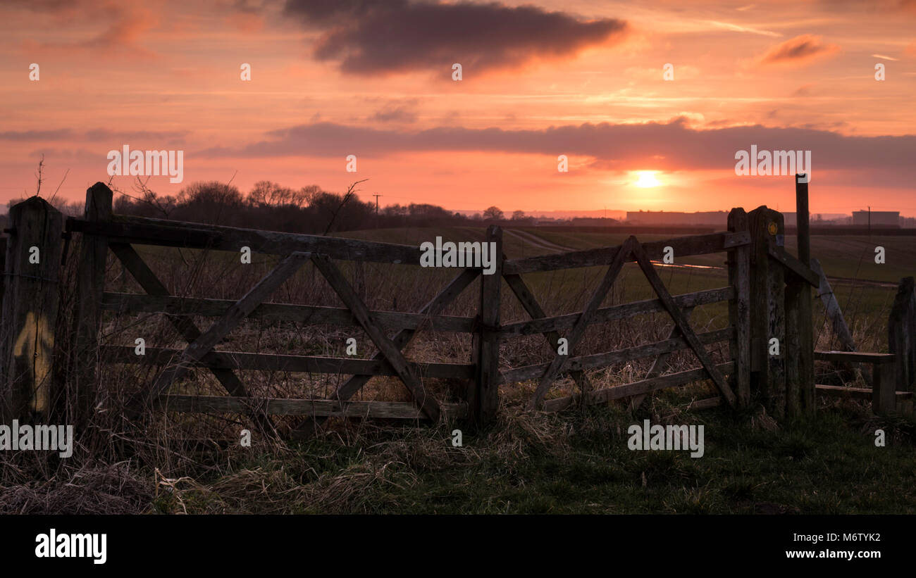 Old closed five bar wooden gates in front of farmers field at Tetney Lock, NE England UK Stock Photo