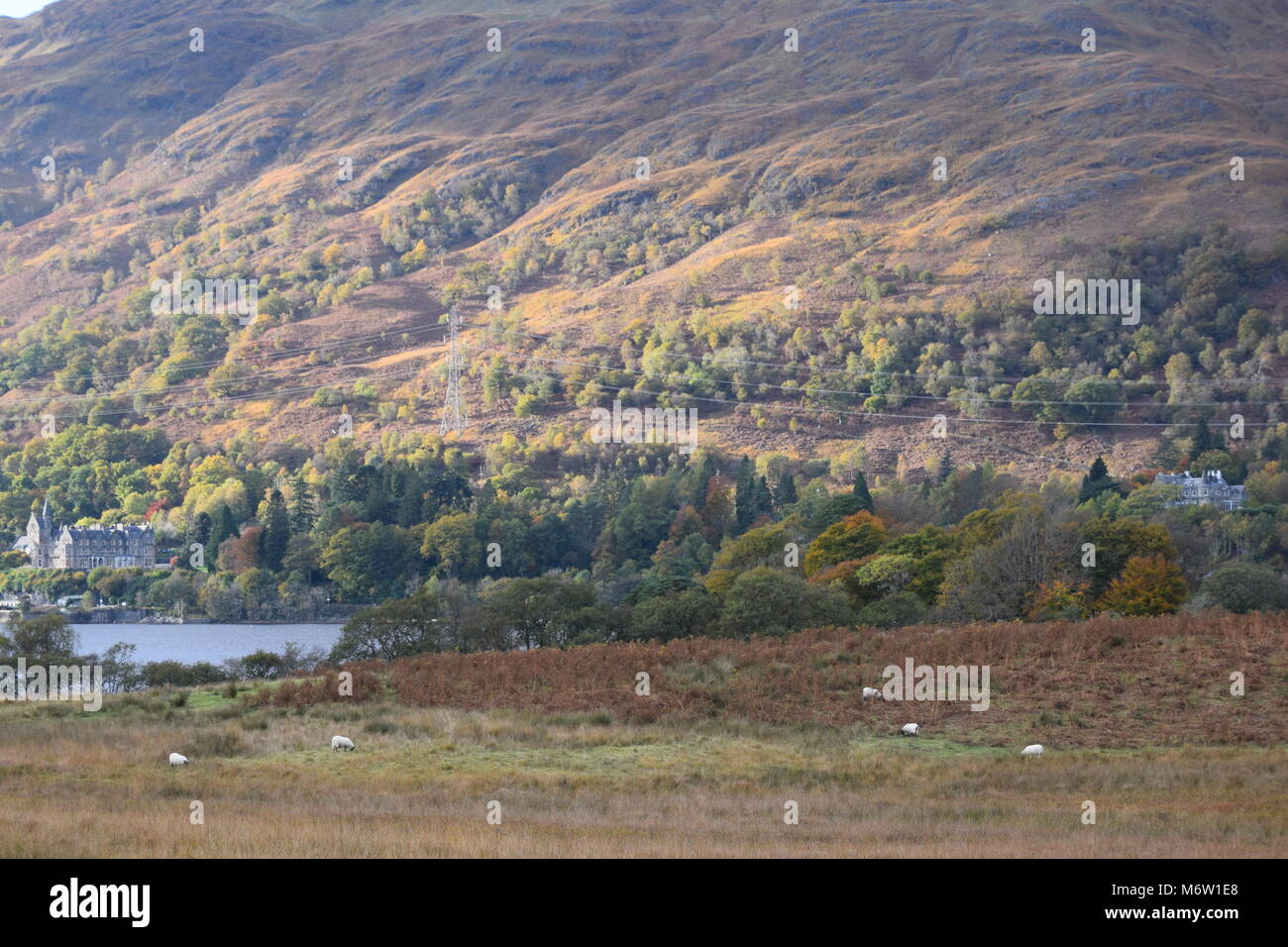 "loch" "loch awe" "Scotland" "kilchurn castle Stock Photo - Alamy
