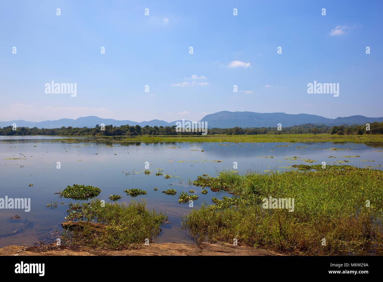 sri lankan landscape and lake at wasgamuwa national park with woodland and mountains under a blue sky Stock Photo