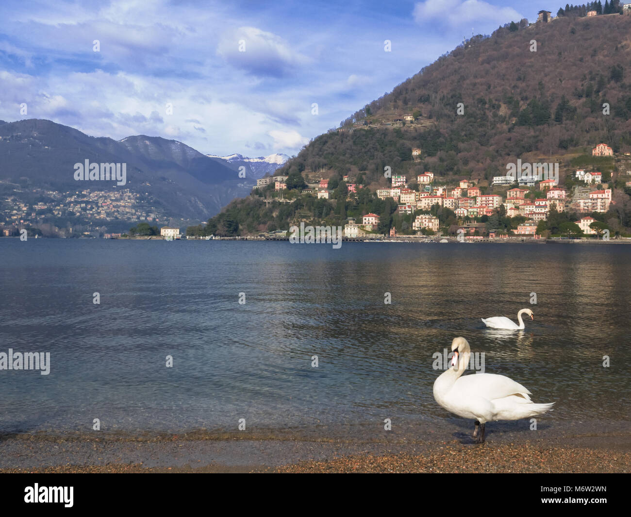 landscapes in bright colors with the arrival of spring on the lake como Stock Photo