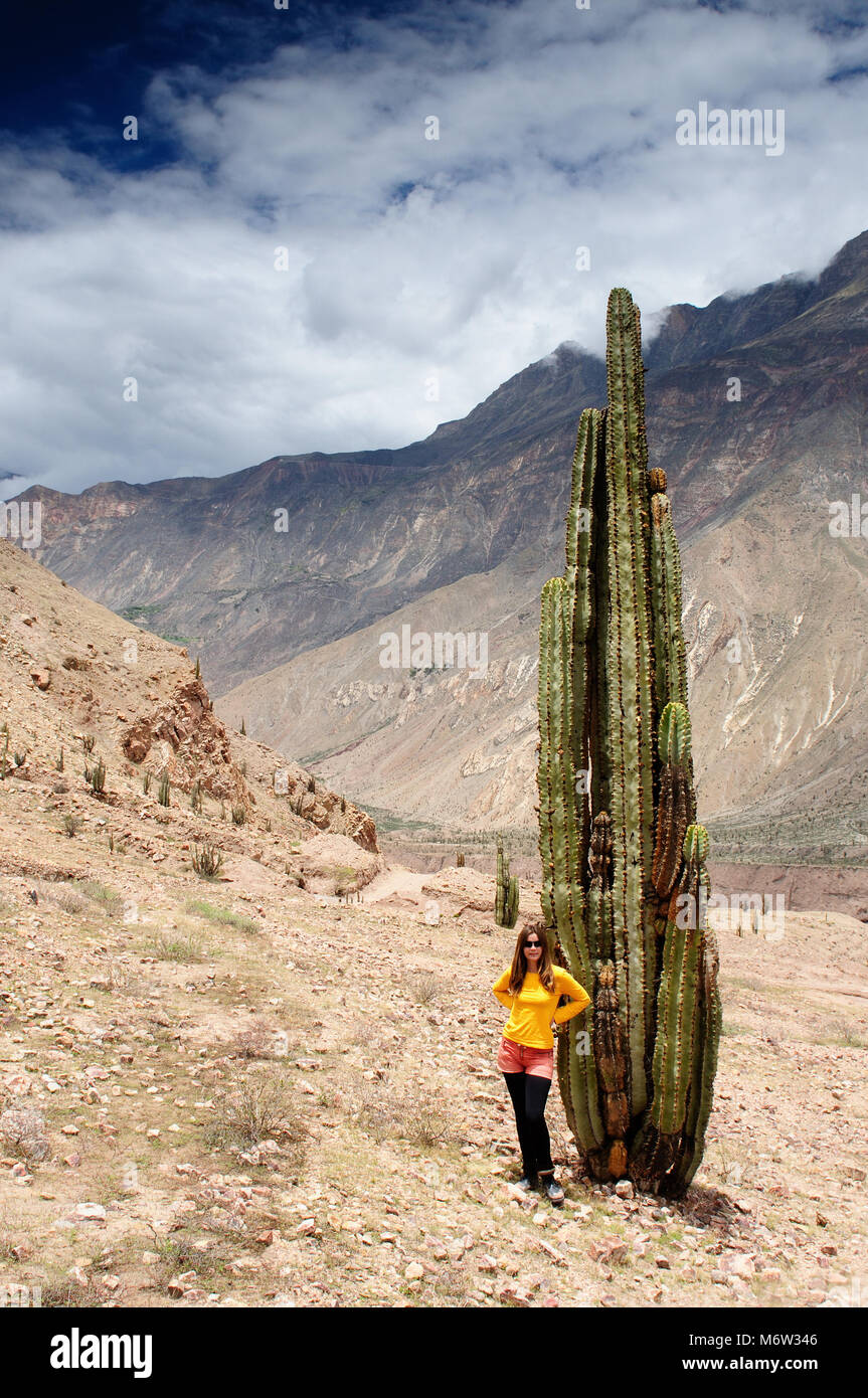 Tourist in the Peruvian high Andes on the trekking on the Cotahuasi canyon, Peru, South America Stock Photo