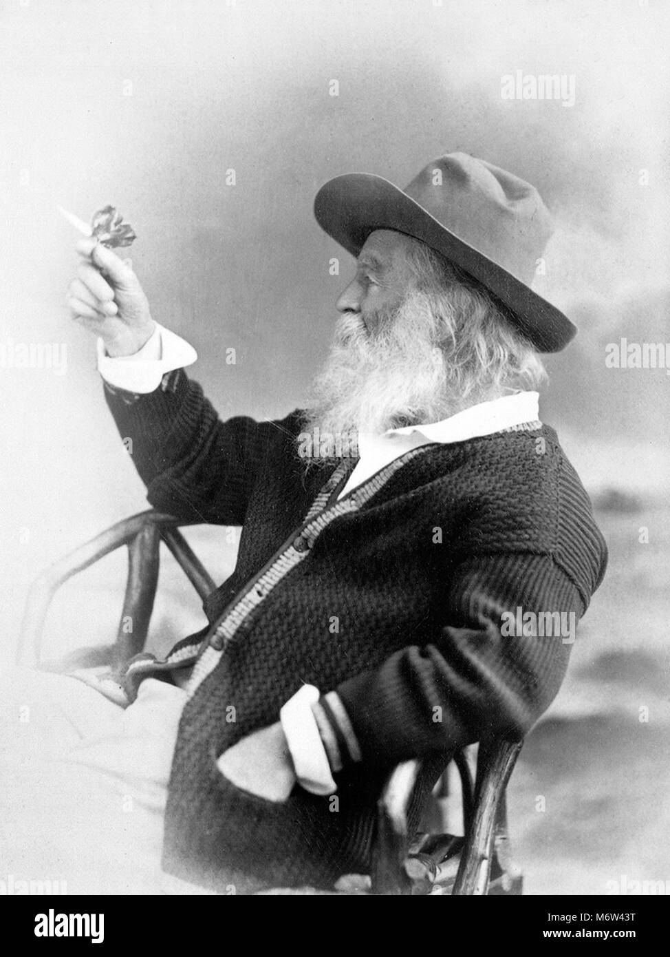 Walt Whitman (1819-1892), photograph by Phillips & Taylor, 1873 Stock Photo