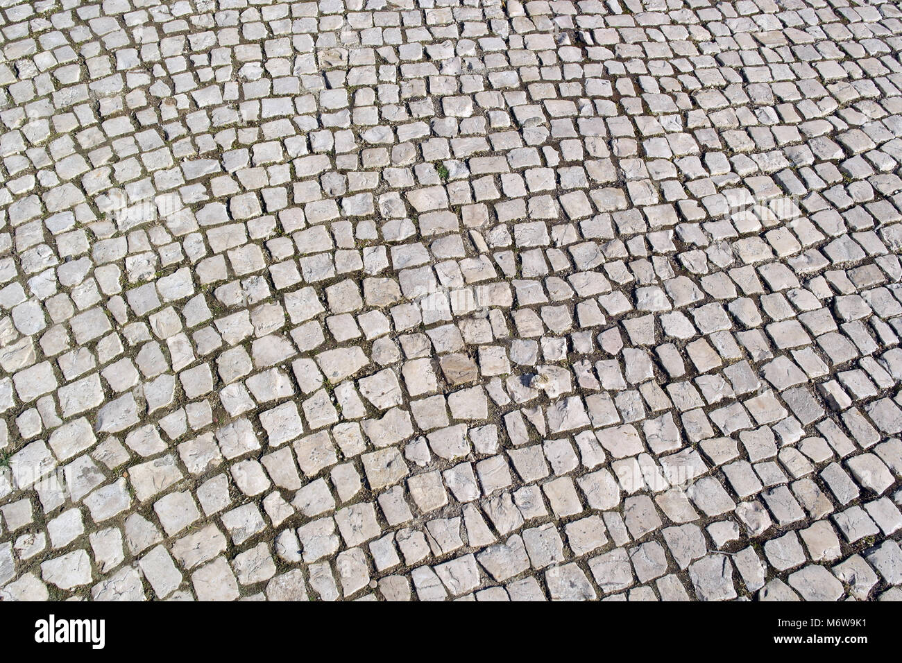 Detail of the typical portuguese pavement, the calçada portuguesa Stock  Photo - Alamy