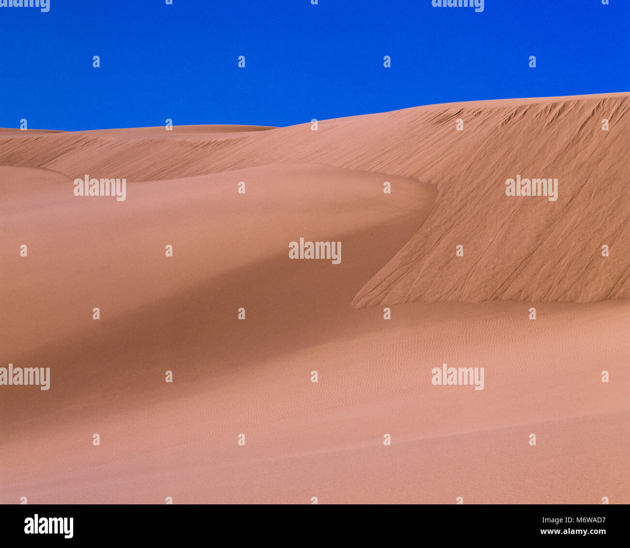 saint anthony sand dunes near rexburg, idaho Stock Photo