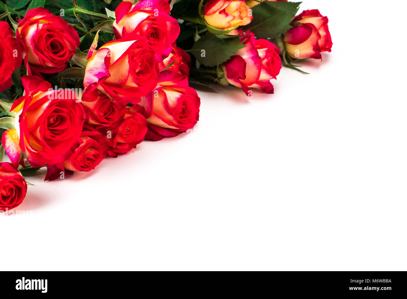 bouquet of beautiful red roses on a white background Stock Photo - Alamy