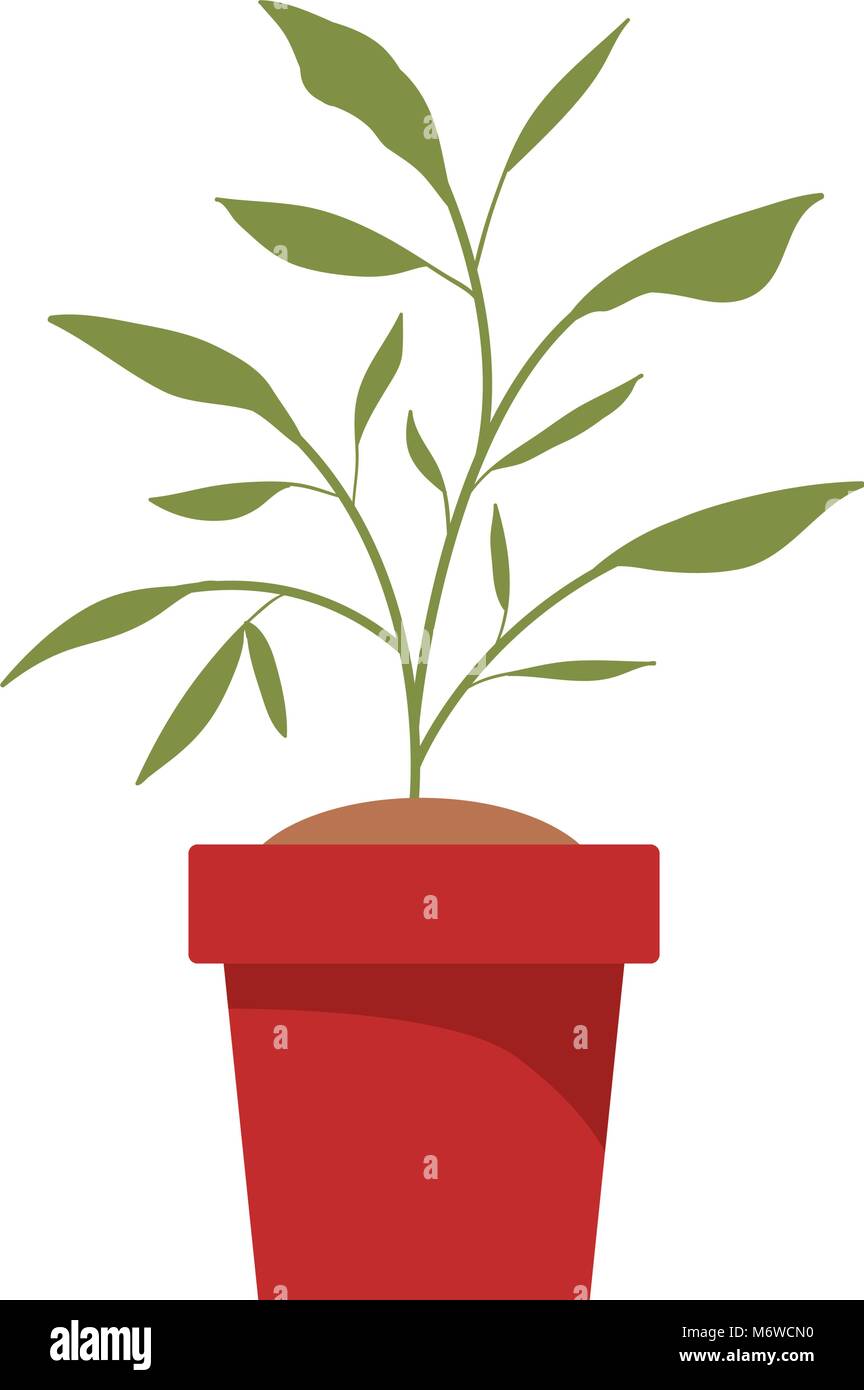 house plant in pot Stock Vector Image & Art - Alamy