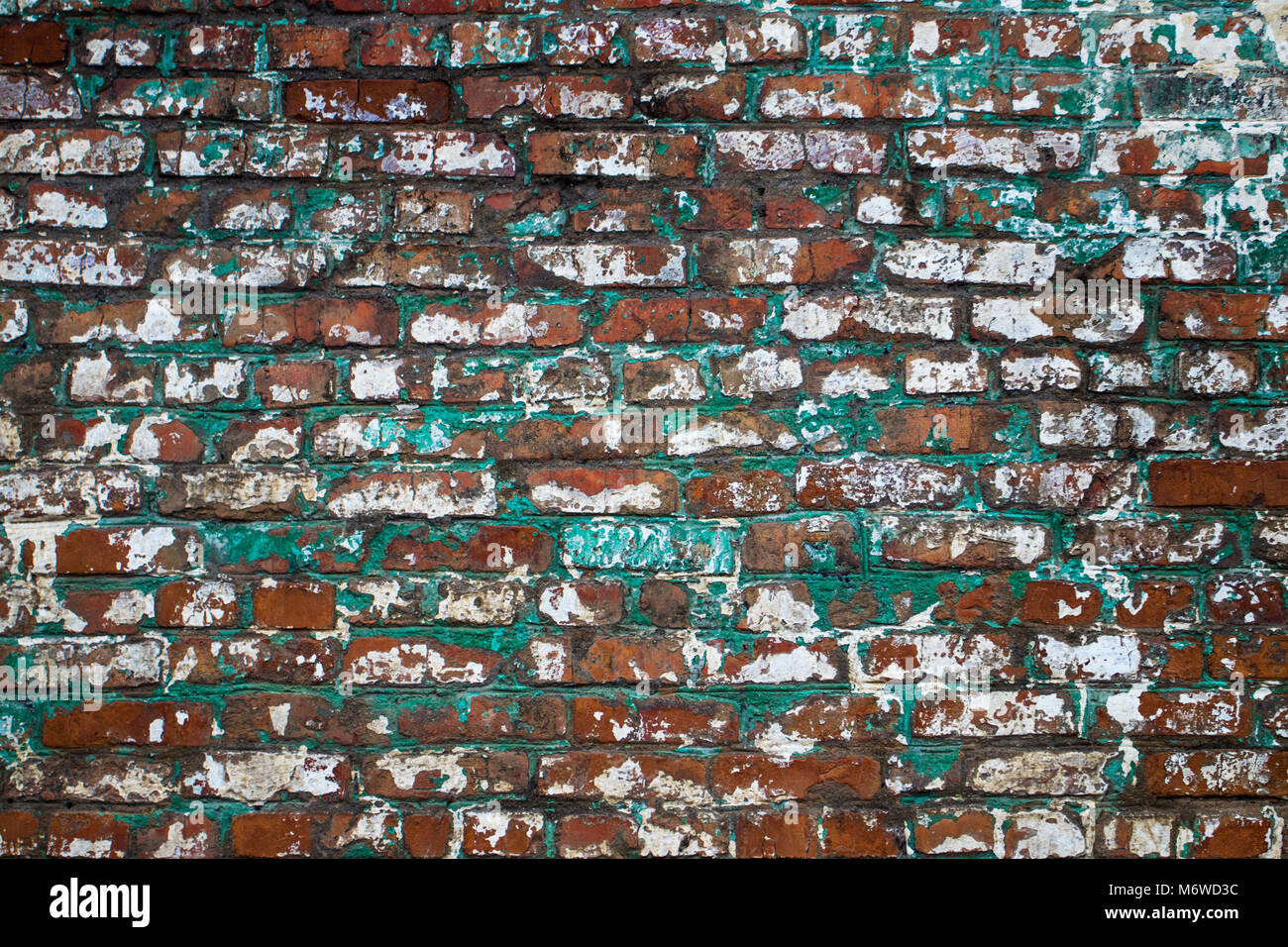 old green brick wall texture for background Stock Photo - Alamy
