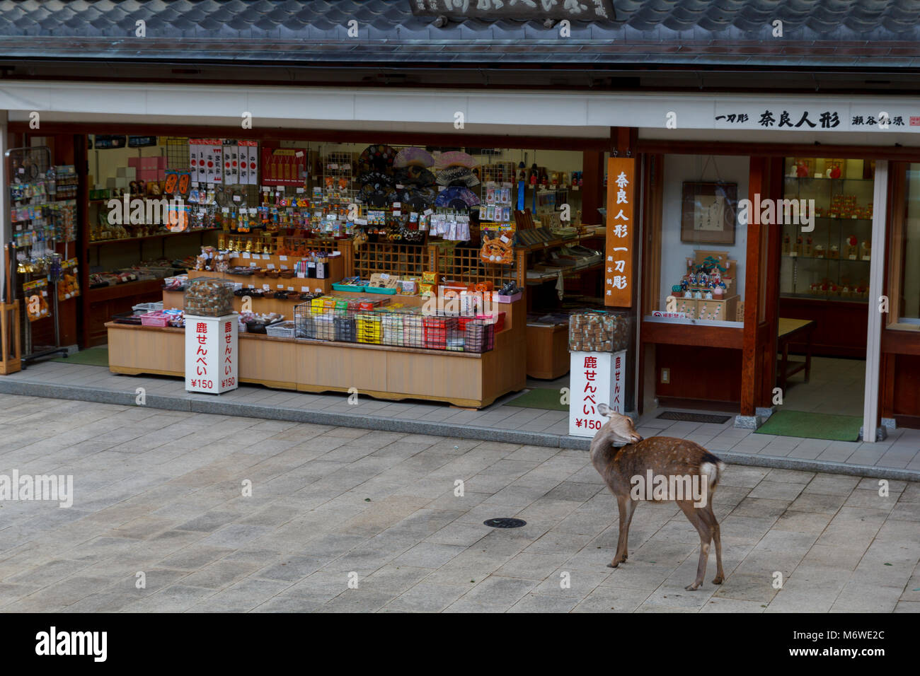 Deer in the street in front of a gifts shop in Nara, a major tourism destination in Japan Stock Photo