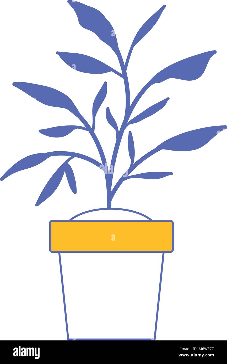 house plant in pot Stock Vector Image & Art - Alamy