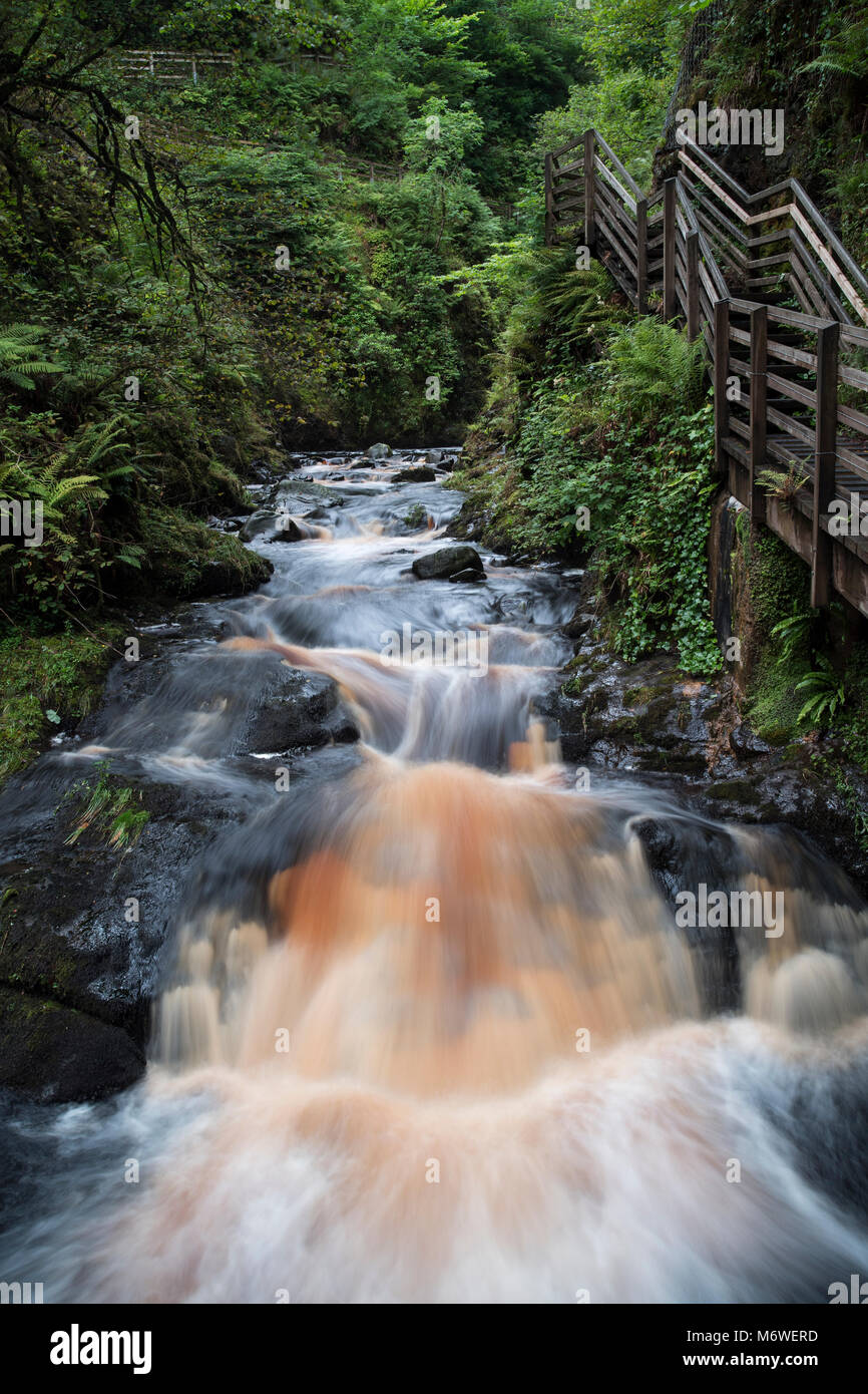 Waterfall in Glenariff Forest Park County Antrim, Northern Ireland Stock Photo