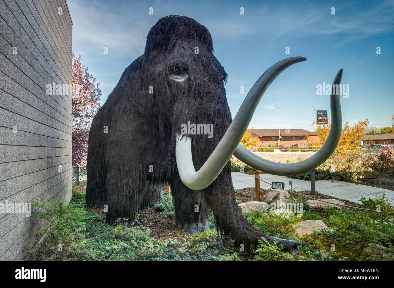 Woolly Mammoth, Quaternary period, replica, Dinosaur Garden at Utah Field House of Natural History State Park Museum, Vernal, Utah, USA Stock Photo