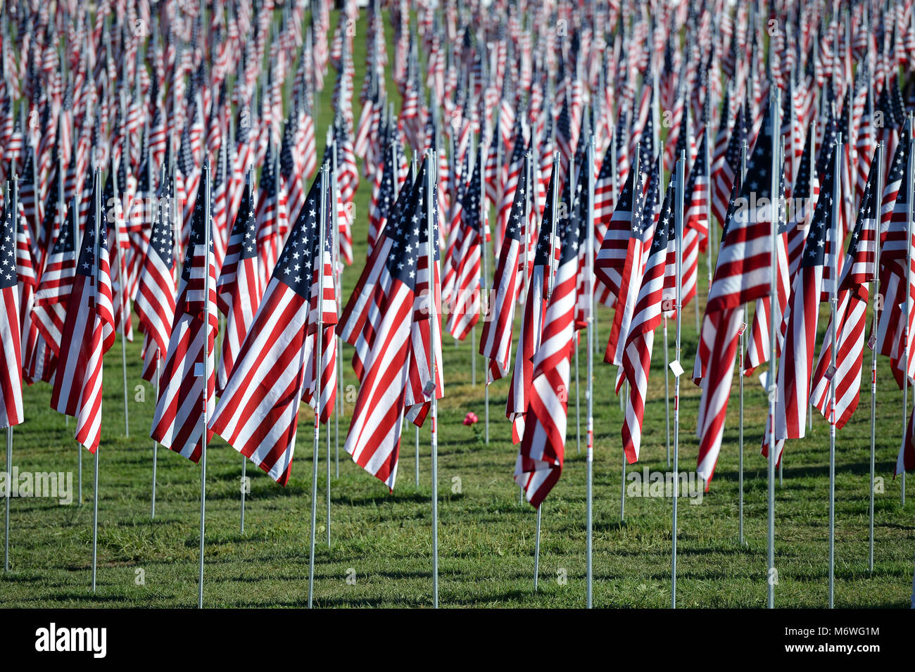 Saint Louis, MO – September 11, 2016: More than 7,000 flags with name, photo and dog tag of soldier killed defending the United States wave outside th Stock Photo