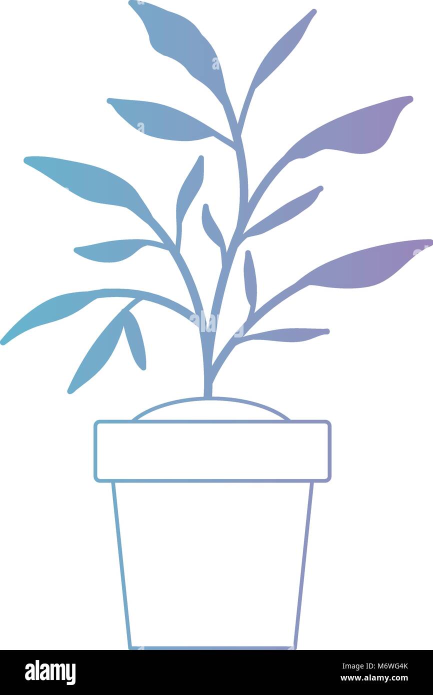 house plant in pot Stock Vector Image & Art - Alamy