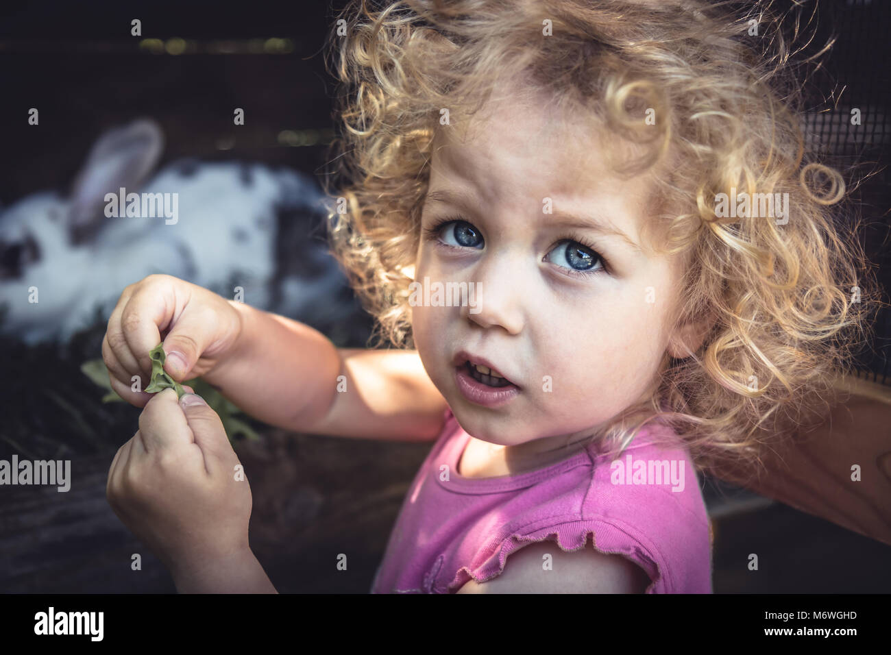 Mischievous naughty cute child girl portrait feeding animals on farm Stock Photo
