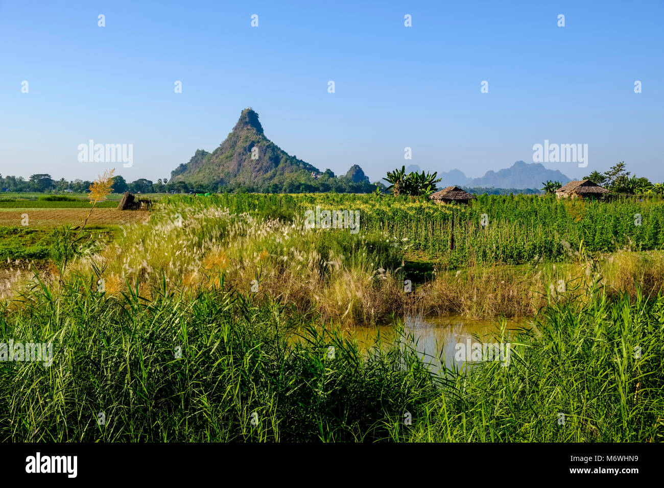 Agricultural landscape with green fields and Hpa-Pu hill in the distance Stock Photo