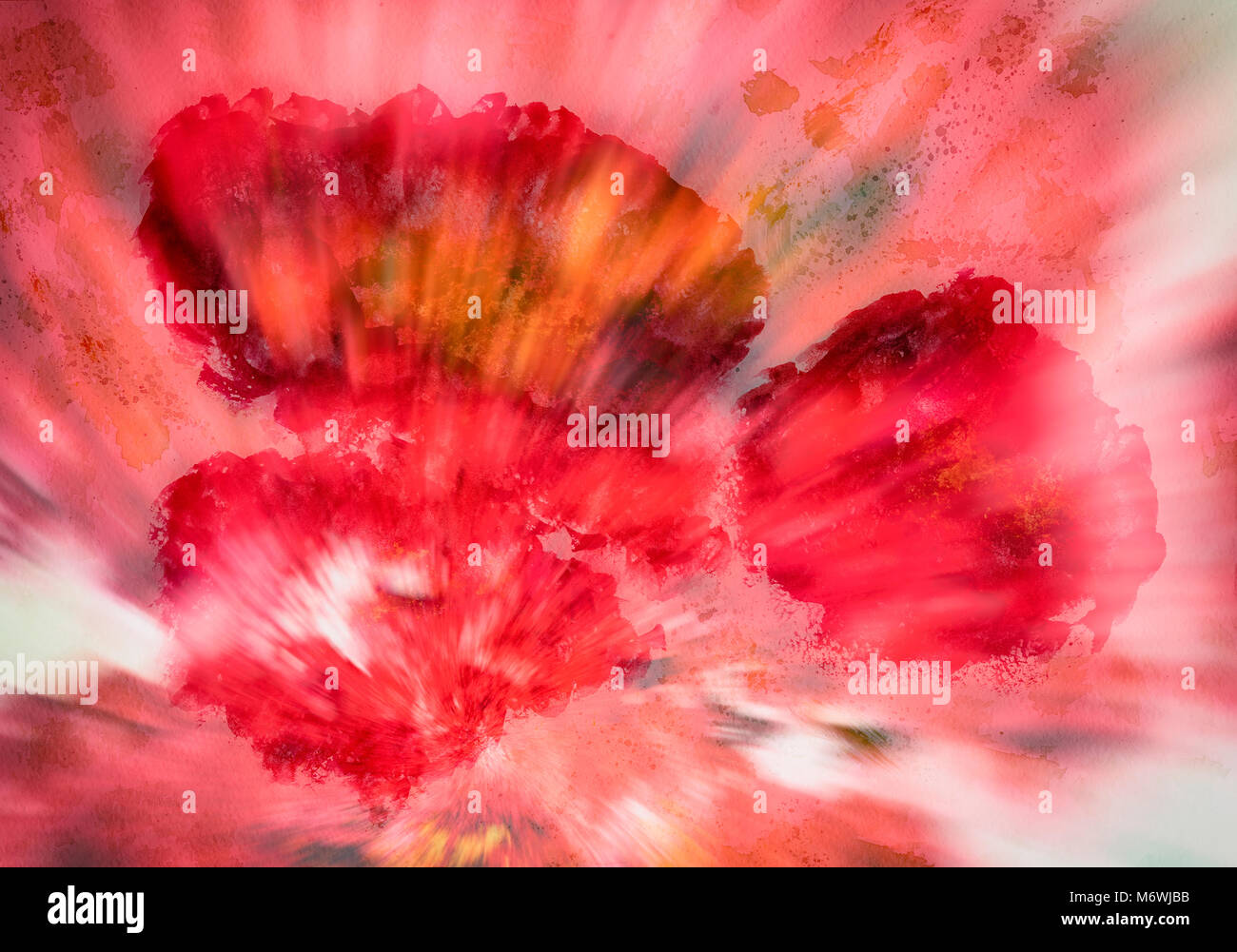 Red background from hand drawn colorful poppys close-up on paper