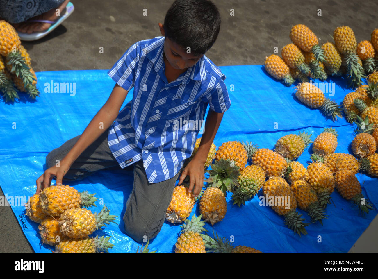 Fijian boy selling pineapples at Sigatoka market, Fiji Stock Photo Alamy