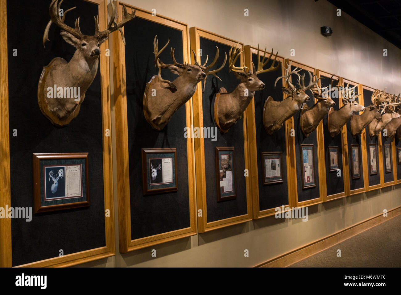 Cabela's store in Hamburg PA Stock Photo Alamy
