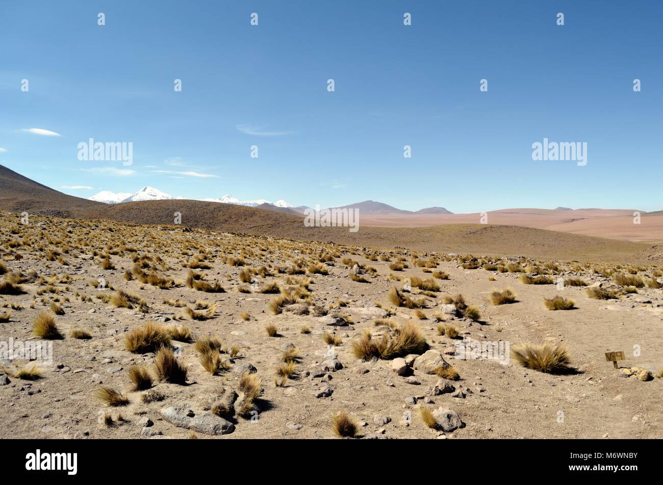 atacama desert, Chile southamerica Stock Photo