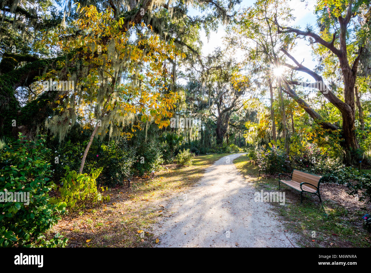 A nature trail winds through Honey Horn Plantation surrounded by fall color on Hilton Head Island, South Carolina. Stock Photo