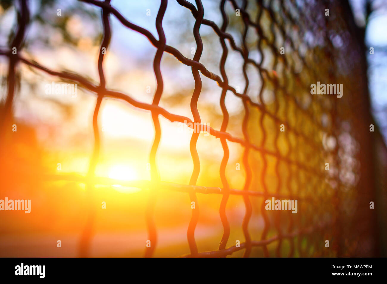 fence with metal grid in perspective, background Stock Photo - Alamy
