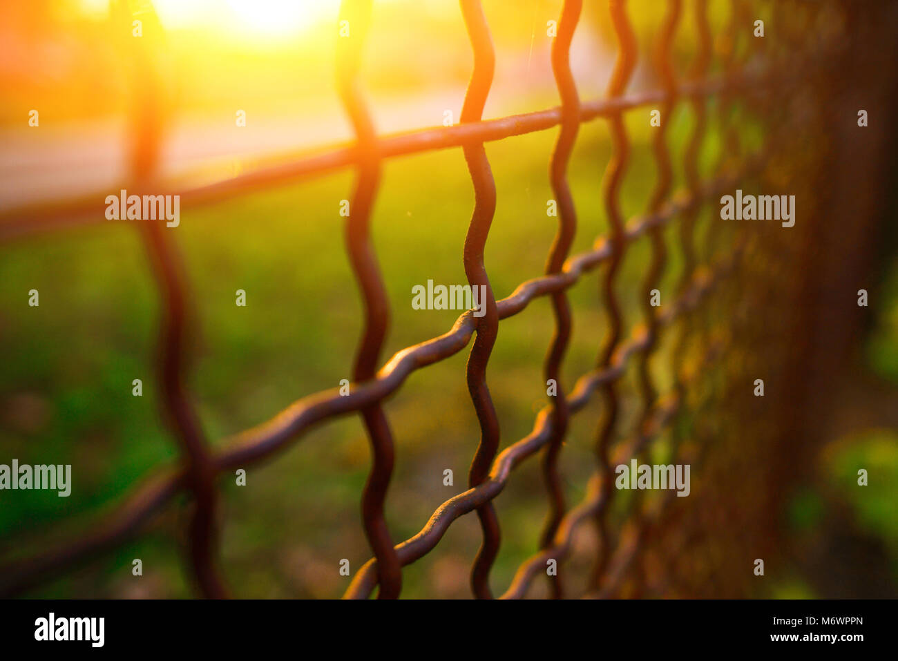 fence with metal grid in perspective, background Stock Photo - Alamy