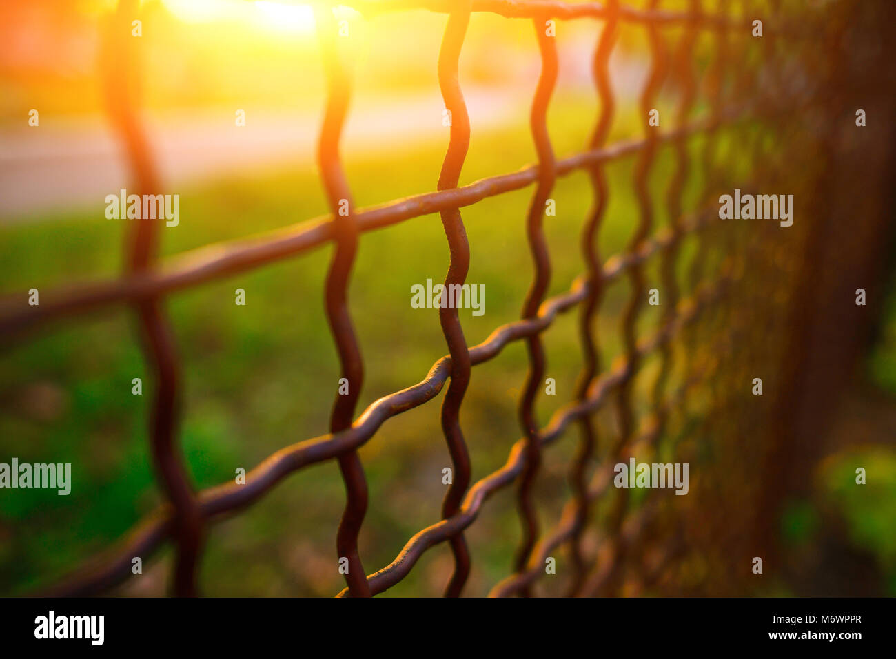 fence with metal grid in perspective, background Stock Photo - Alamy