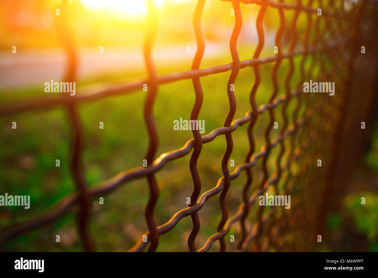 fence with metal grid in perspective, background Stock Photo - Alamy