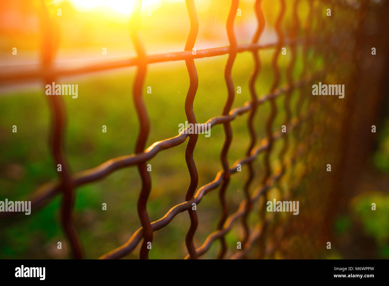 fence with metal grid in perspective, background Stock Photo - Alamy