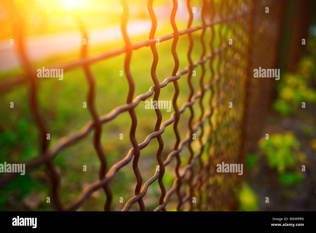 fence with metal grid in perspective, background Stock Photo - Alamy