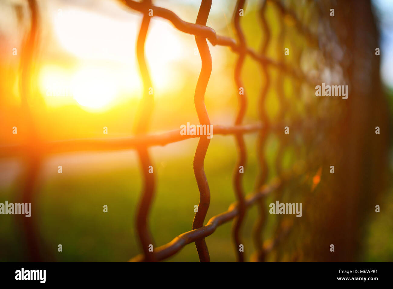 fence with metal grid in perspective, background Stock Photo - Alamy