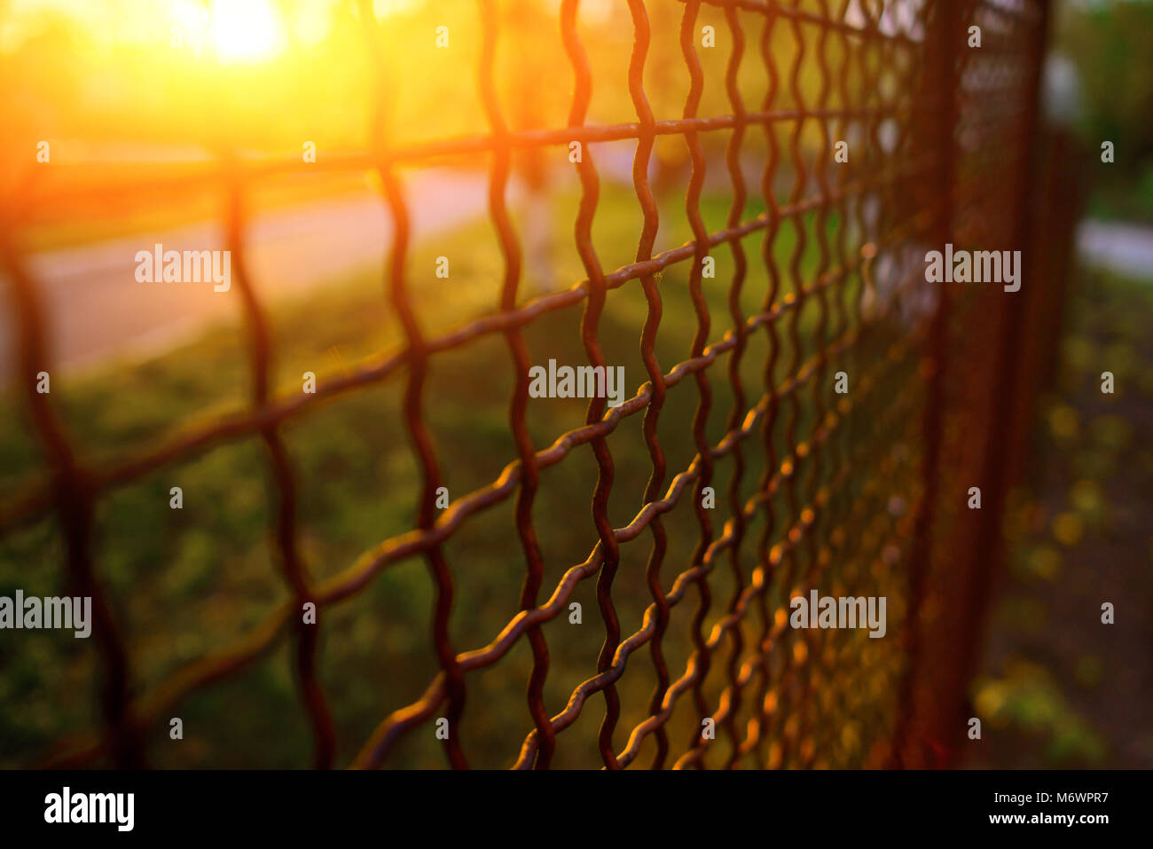 fence with metal grid in perspective, background Stock Photo - Alamy