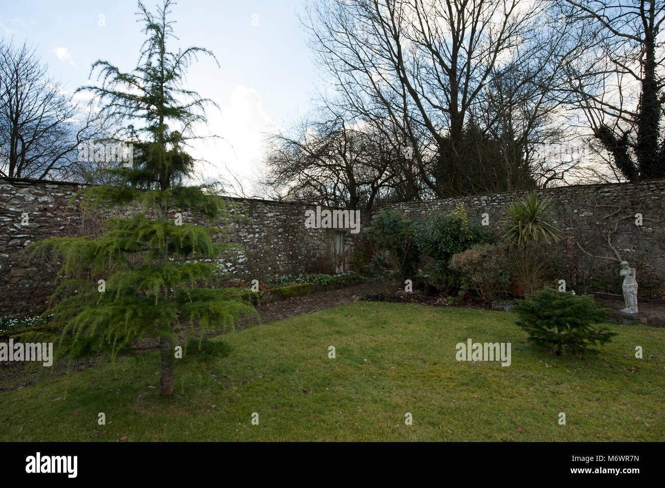 Enclosed walled garden with door leading to an outside toilet Stock Photo