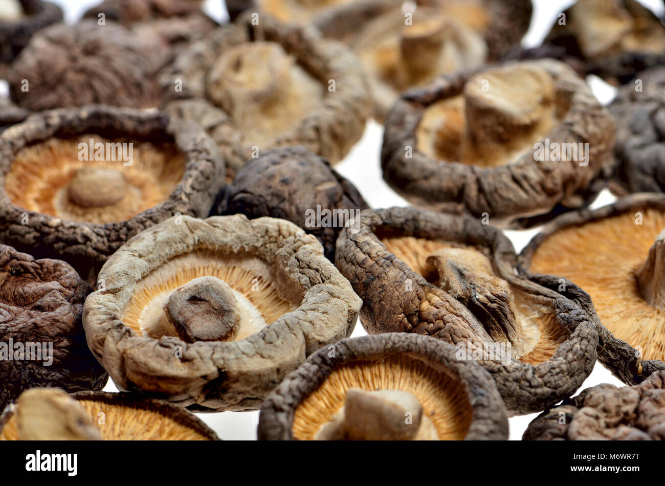Dried shiitake mushrooms hires stock photography and images Alamy