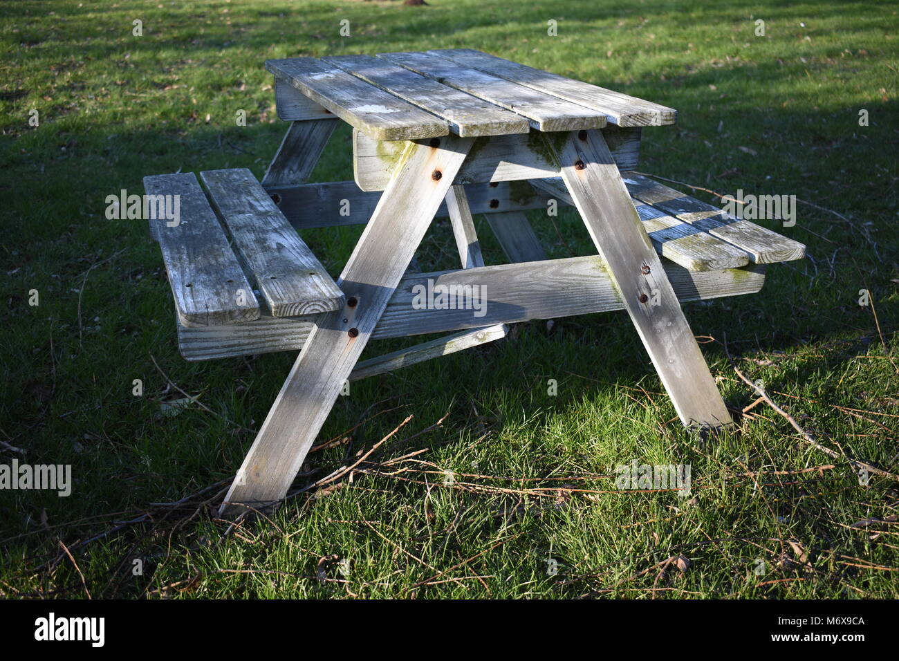 Worn wooden bench table in the shade of a tree Stock Photo