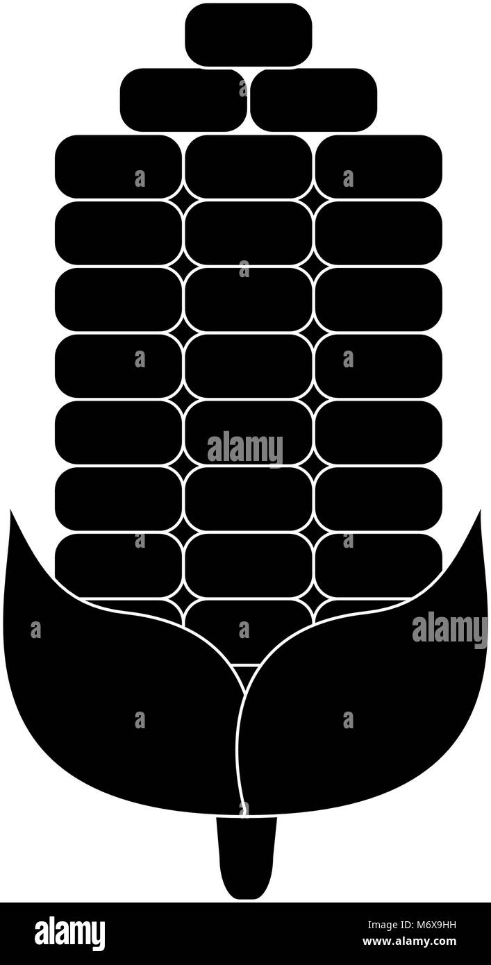 Corn vegetable isolated vector illustration graphic design Stock Vector ...
