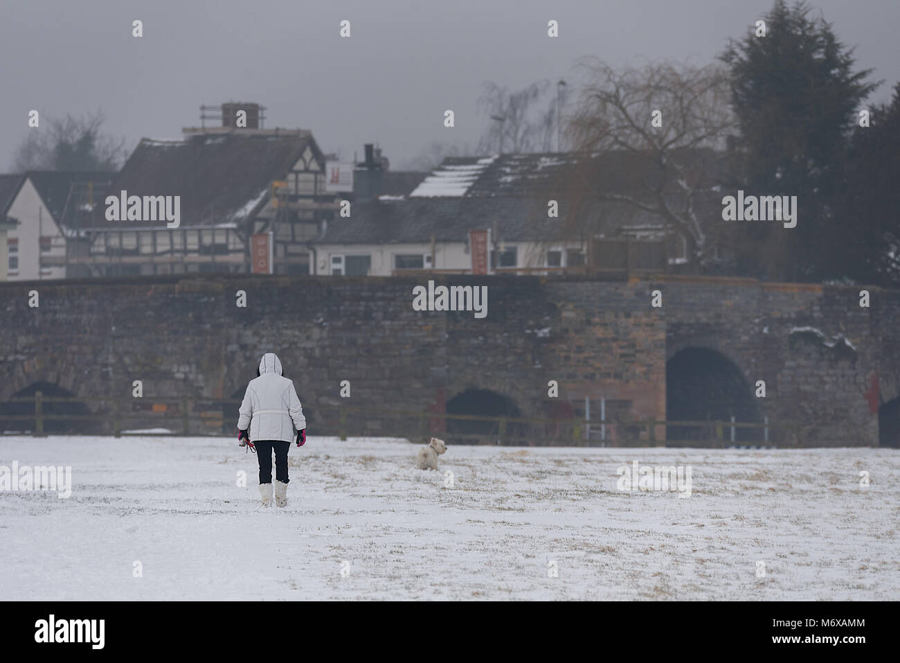 A woman in warm clothing walks her West Highland Terrier along a public footpath in a snow covered field towards the stone structure bridge of Bidford Stock Photo