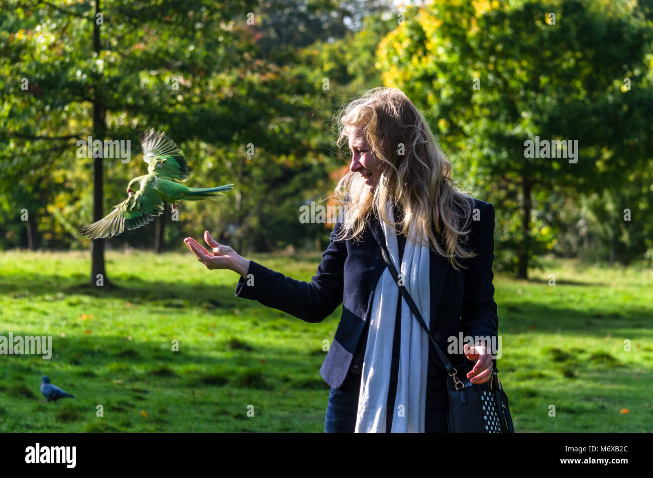 A parakeet flies from the grasp of a young woman in the park Stock Photo