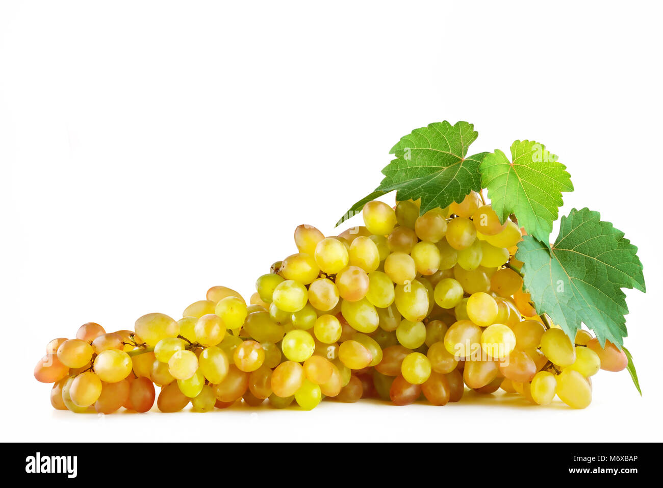 Bunch fresh grapes isolated on white background. Clipping path. Free space for text. Stock Photo