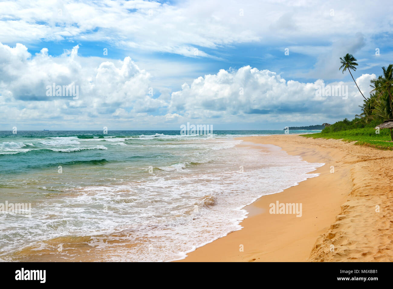 Ocean Beach. Yellow sand and coconut palm. Seascape. Stock Photo