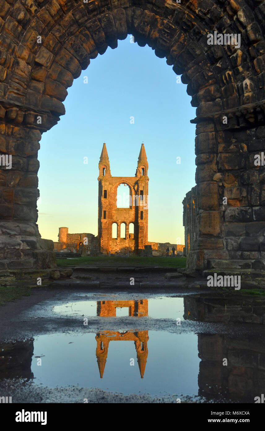 St Andrews Cathedral with St, Rules tower in the foreground - fife, scotland Stock Photo