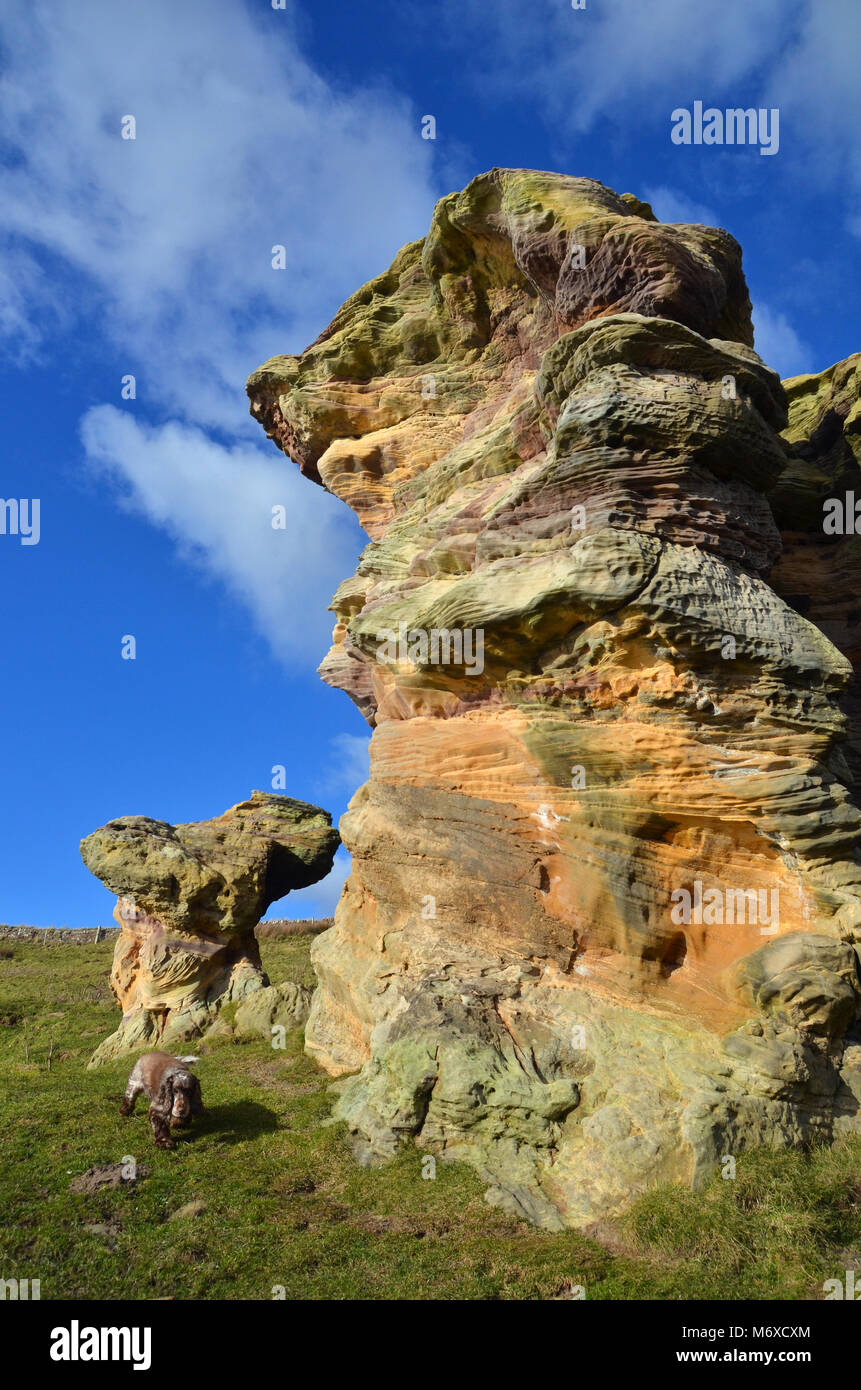 The Caves of Caiplie - The Coves - on route of the Fife coastal walk near Cellardyke / Kilrenny in Fife Scotland, Britain. Stock Photo