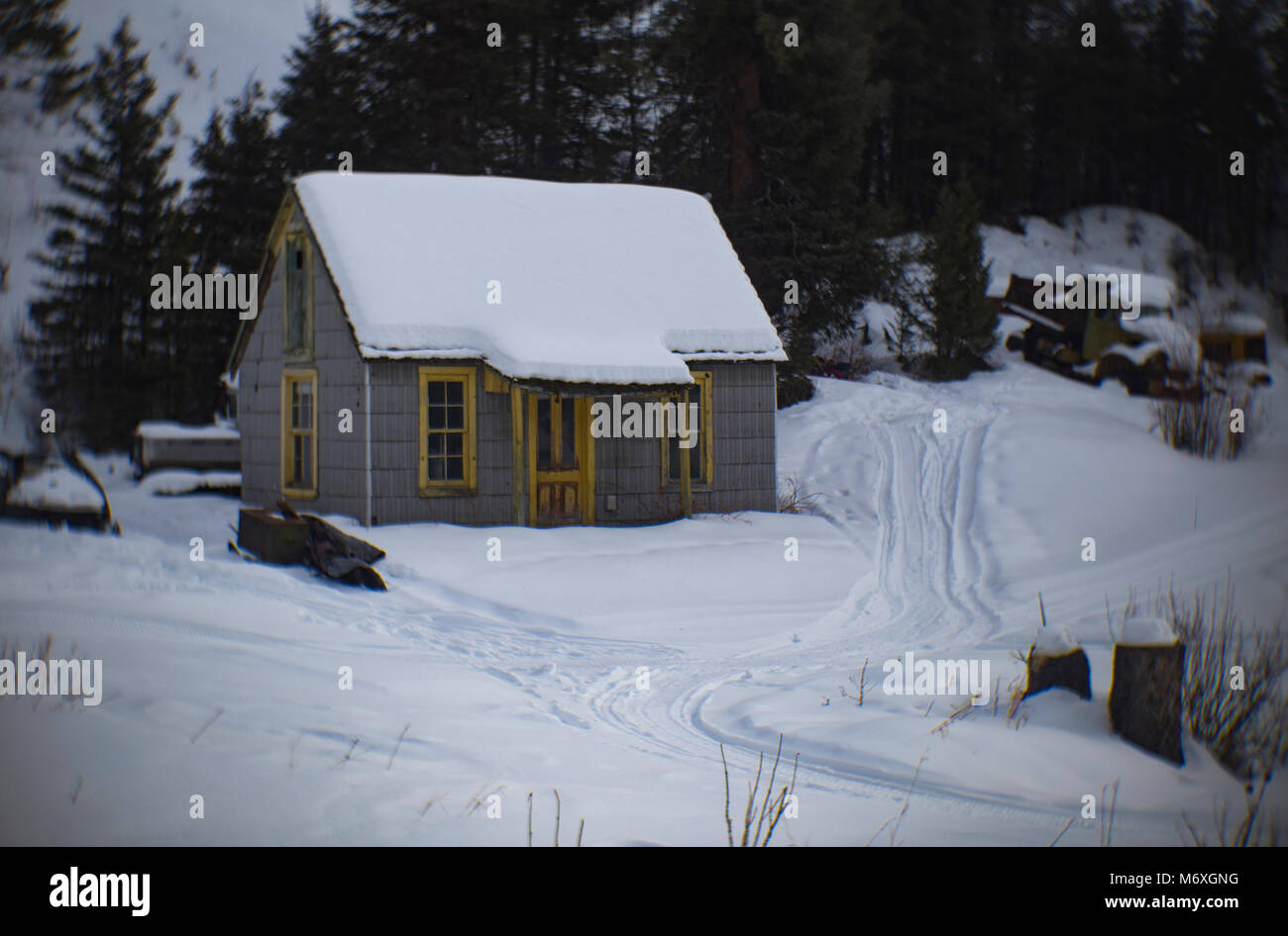 An abandoned asbestos shingle wooden miner's cabin in the town of Tower
