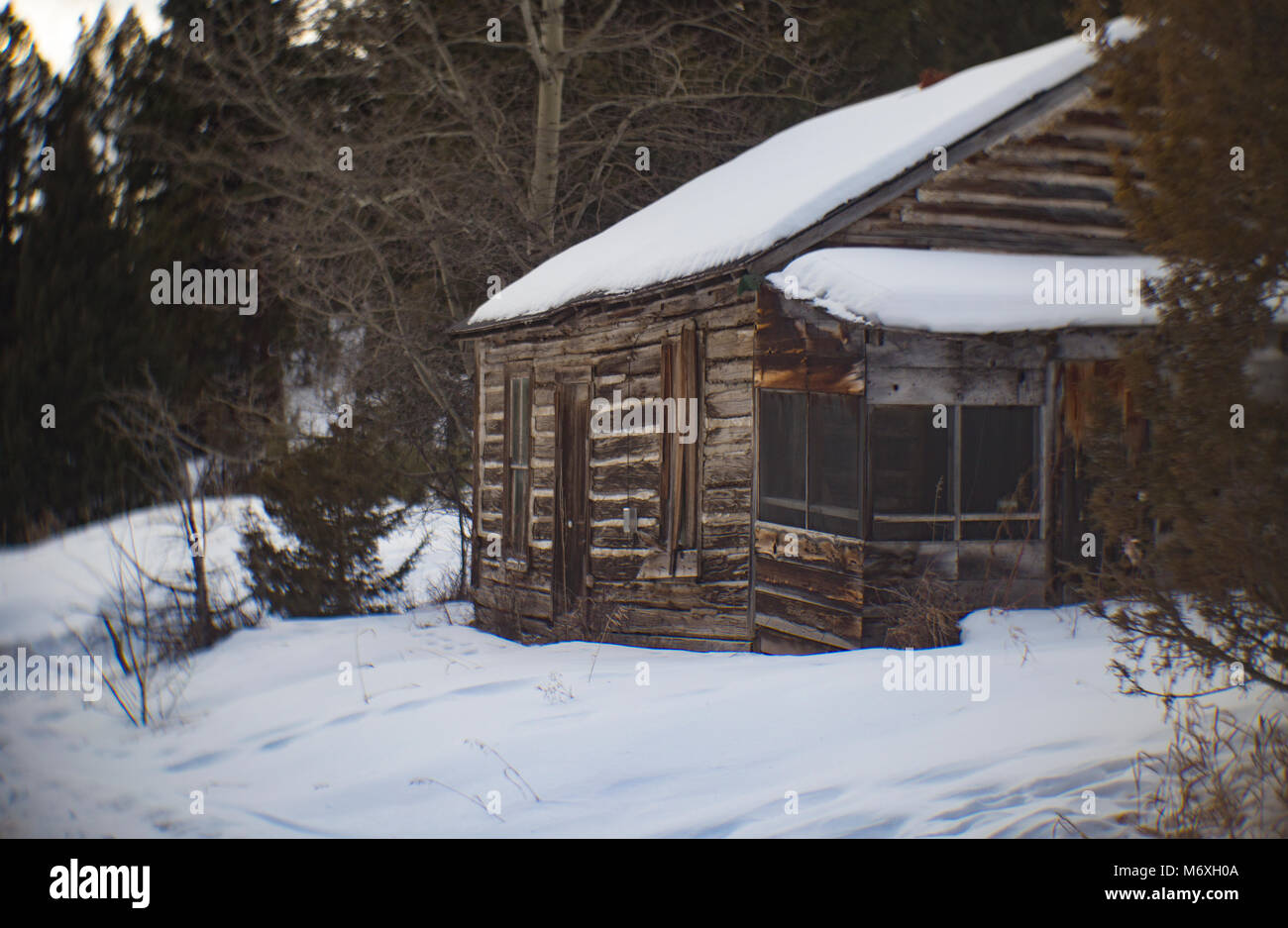 An Abandoned Log Cabin In The Ghost Town Of Tower East Of Stock