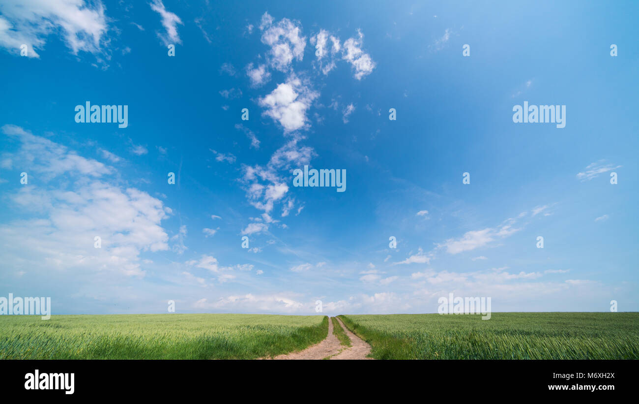 Green field and clear cloudy sky panorama Stock Photo - Alamy