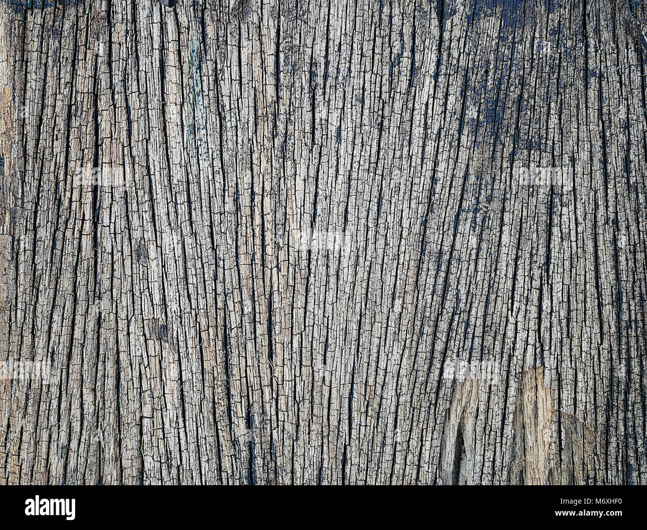 old wood texture. background for vintage background Stock Photo