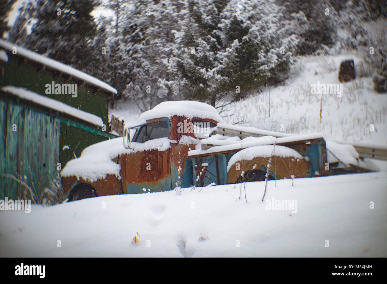 A blue 1954 Chevrolet pickup truck in a snow in the old mining town of Tower, Montana. Stock Photo